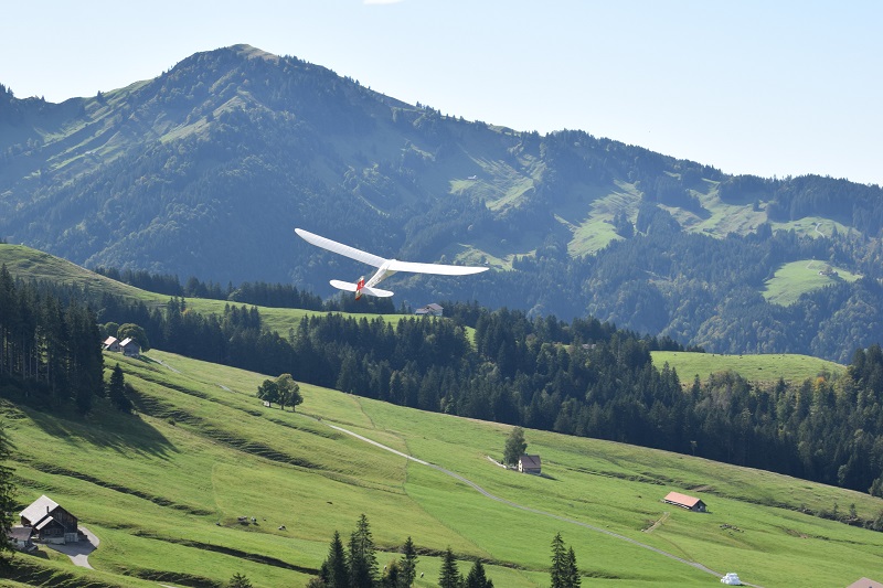 (Antik)-Hangfliegen Herrendürren