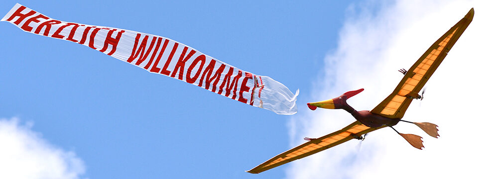 Schaufliegen der Modellfluggruppe Signau